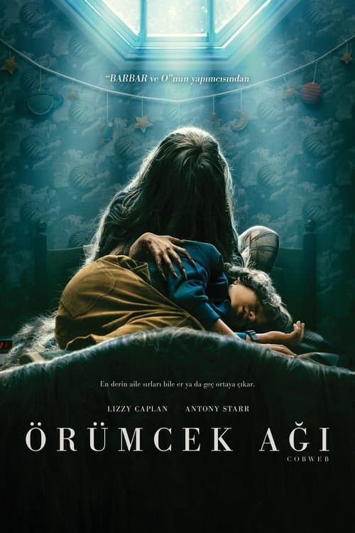 Örümcek Ağı afişi