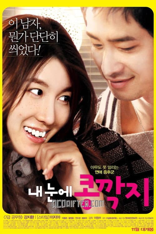내 눈에 콩깍지 afişi