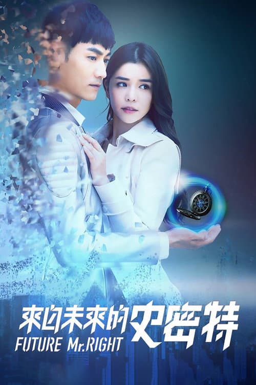来自未来的史密特 afişi