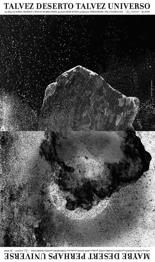Talvez Deserto Talvez Universo afişi