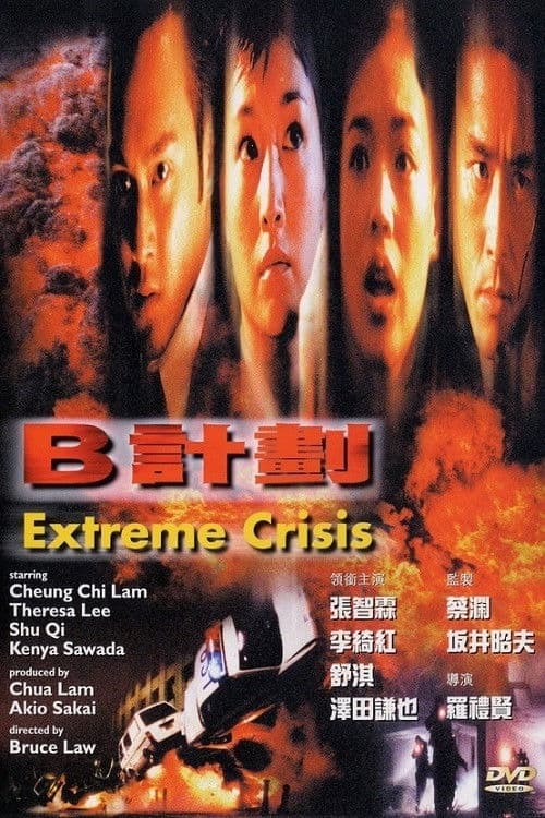B計劃 afişi