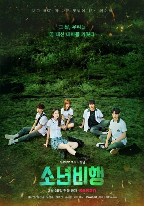 소년비행 afişi