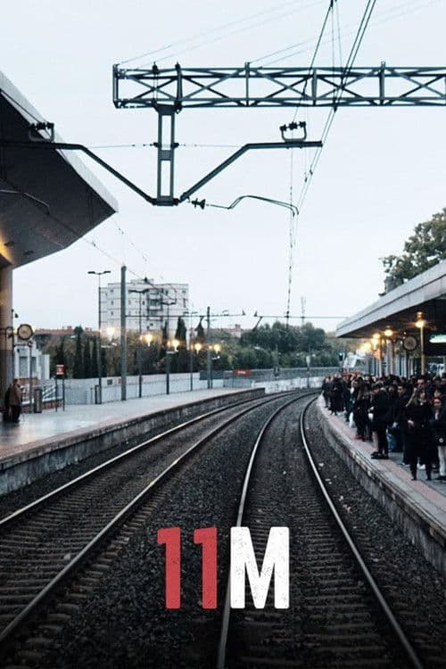 11M afişi