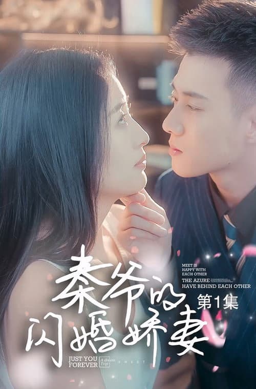 秦爷的闪婚娇妻 afişi