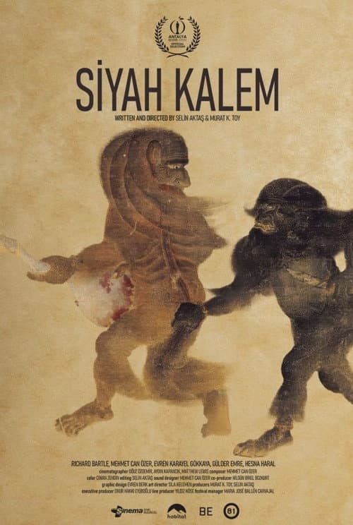 Siyah Kalem afişi