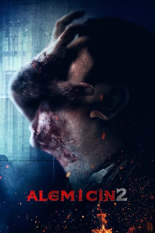 Alem-i Cin 2 afişi