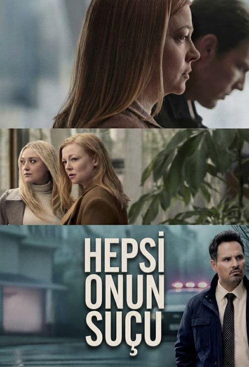 Hepsi Onun Suçu afişi