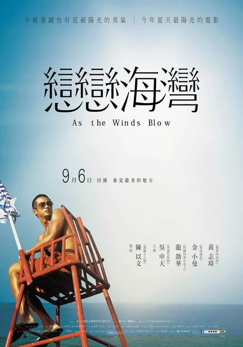 戀戀海灣 afişi