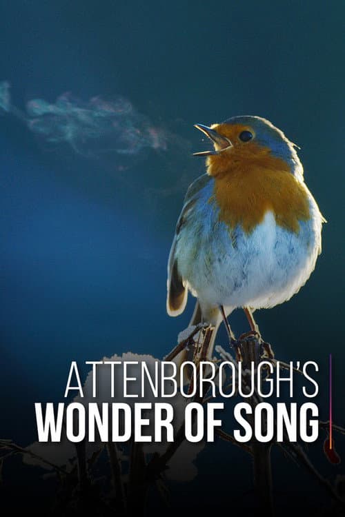 Attenborough'nun Şarkı Mucizesi afişi