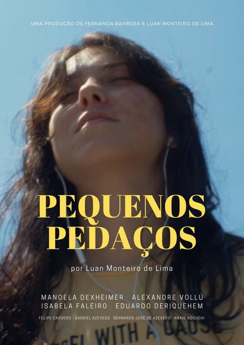 Pequenos Pedaços afişi
