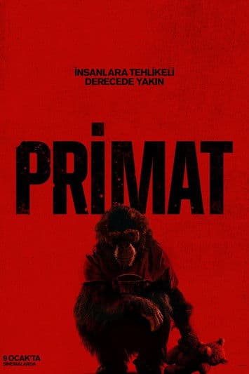 Primat afişi