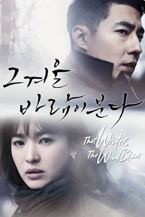 그 겨울, 바람이 분다 afişi