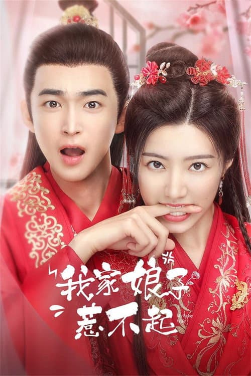 我家娘子惹不起 afişi