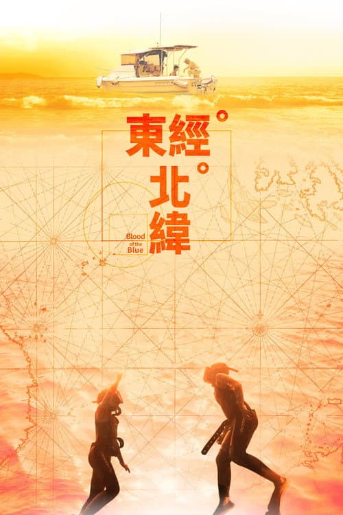東經北緯 afişi