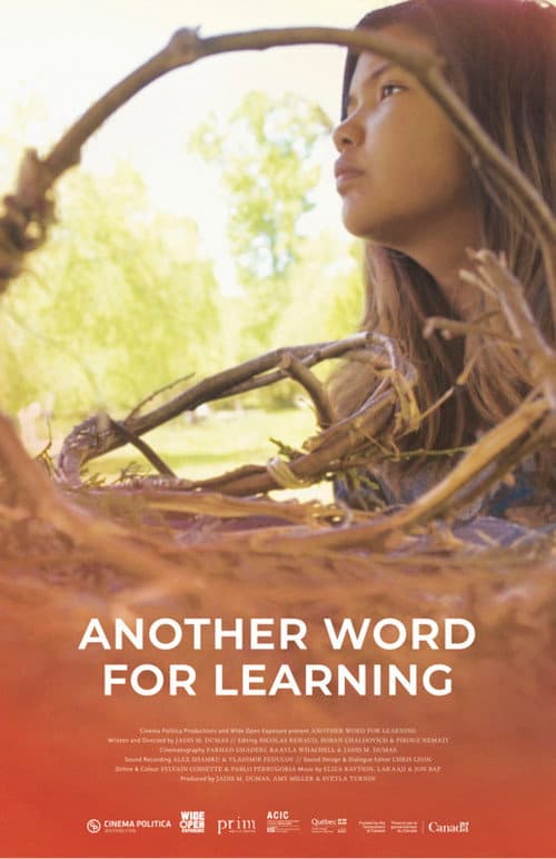 Another Word for Learning afişi