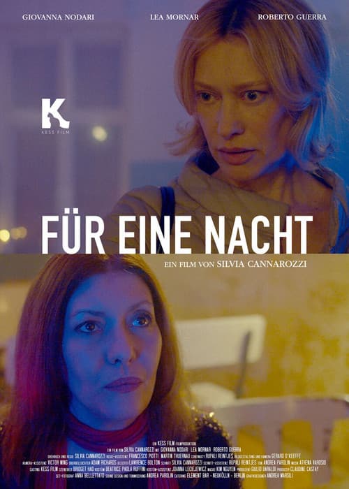 Für eine Nacht afişi