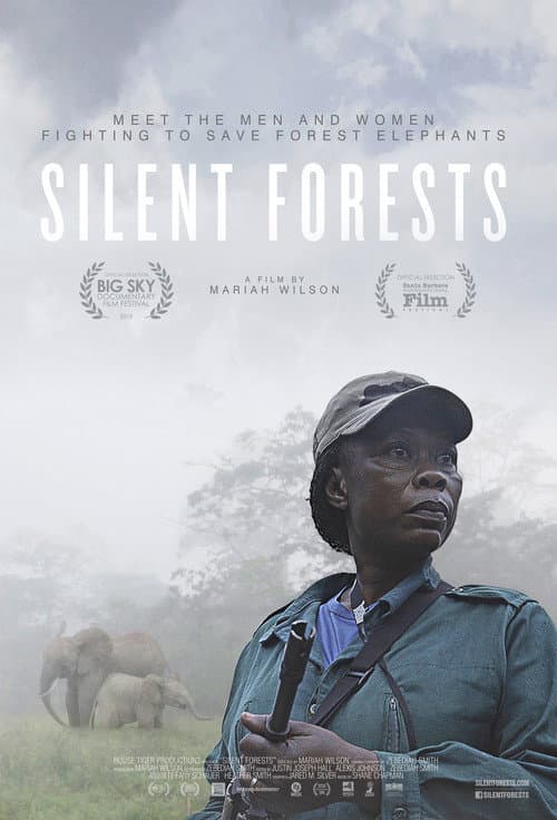 Silent Forests afişi