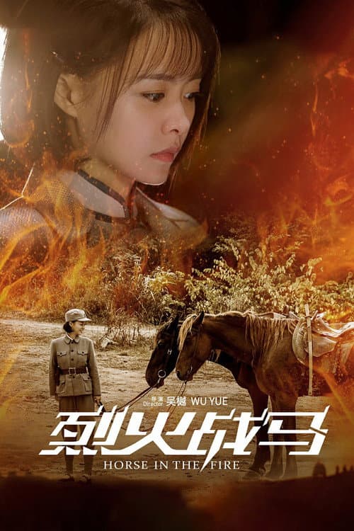 烈火战马 afişi