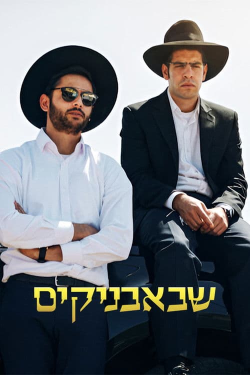 שבאבניקים afişi