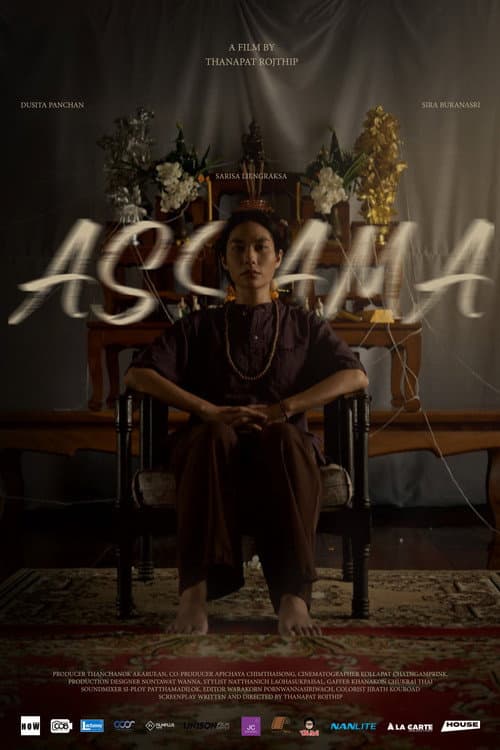 อสฺสม afişi