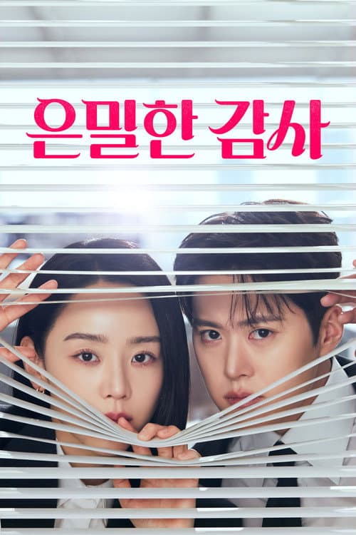 은밀한 감사 afişi