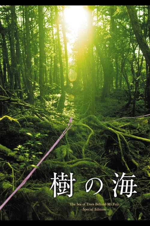 樹の海 afişi