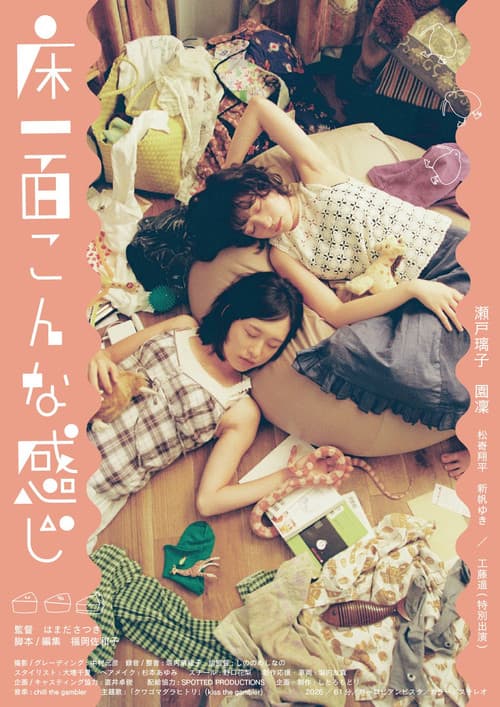 床一面こんな感じ afişi
