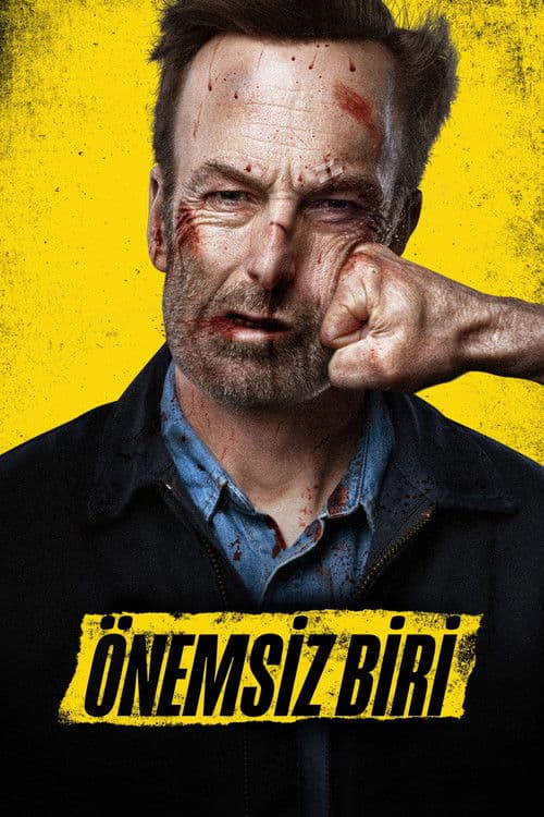Önemsiz Biri afişi