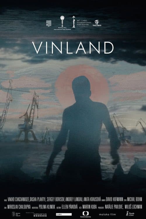 Vinland afişi
