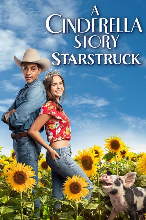 A Cinderella Story: Starstruck afişi