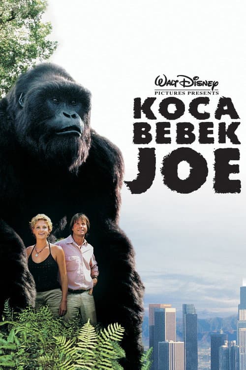 Koca Bebek Joe afişi