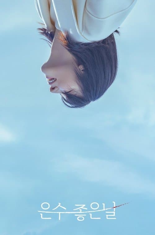 은수 좋은 날 afişi