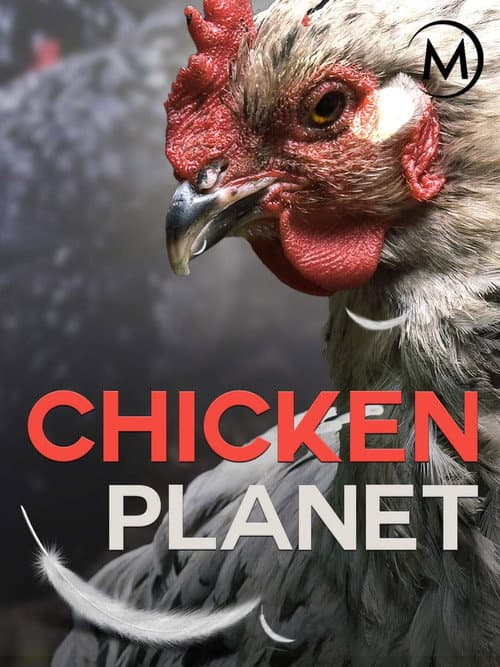 Chicken Planet afişi
