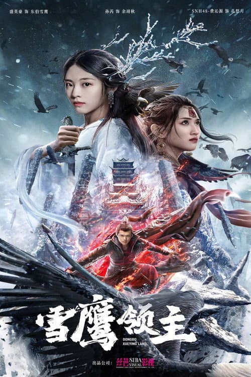 雪鹰领主 afişi