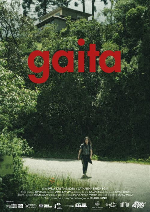 Gaita afişi