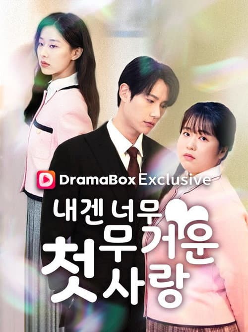 내겐 너무 무거운 첫사랑 afişi