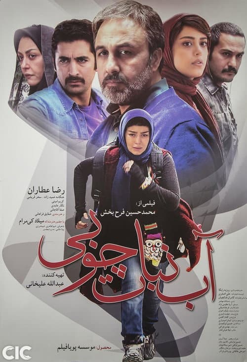آبنبات چوبی afişi