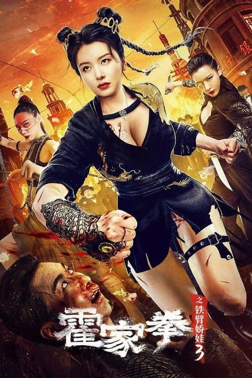 霍家拳之铁臂娇娃3 afişi