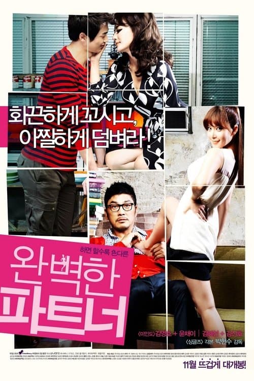 완벽한 파트너 afişi