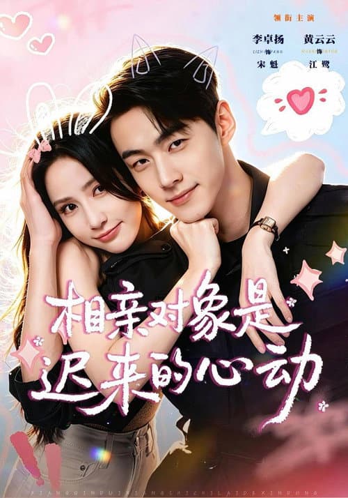 相亲对象是迟来的心动 afişi