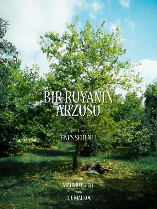 Bir Rüyanın Arzusu afişi