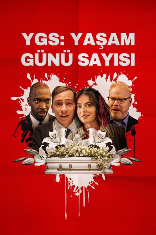 YGS: Yaşam Günü Sayısı afişi