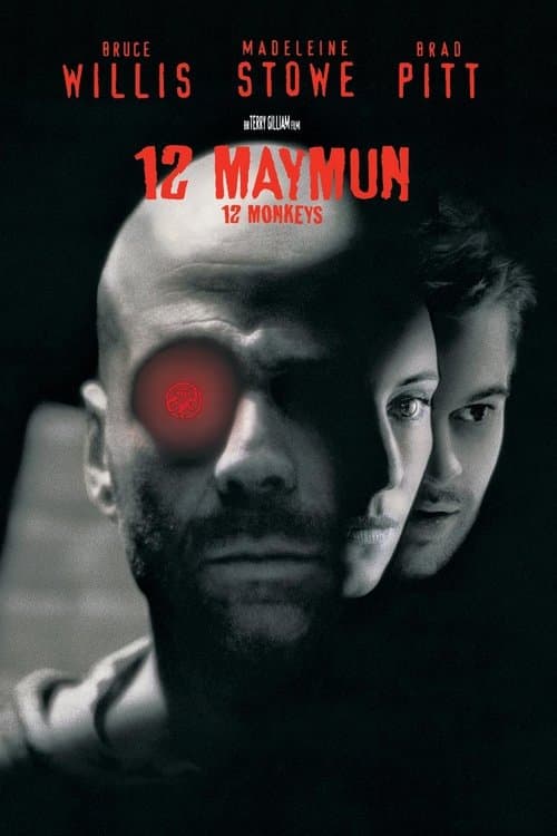 12 Maymun afişi