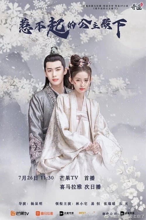 惹不起的公主殿下 afişi
