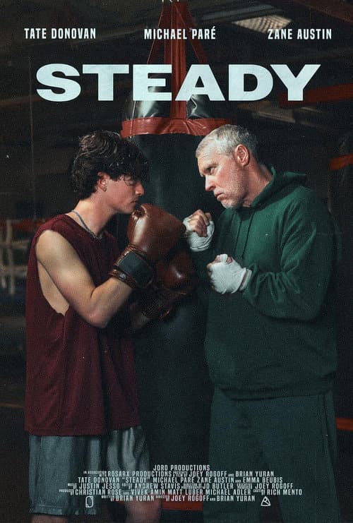 Steady afişi