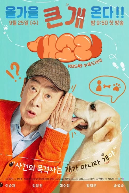 개소리 afişi