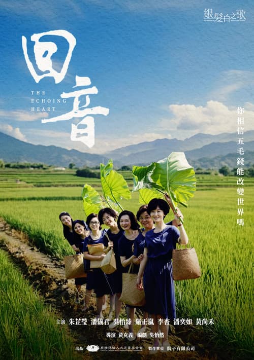 回音 afişi