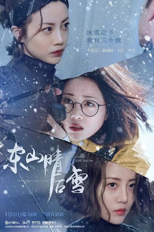 东山晴后雪 afişi