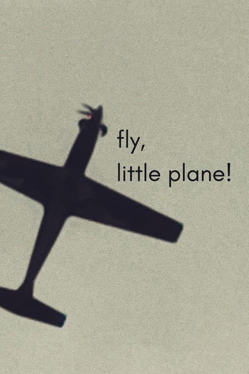 fly, little plane! afişi