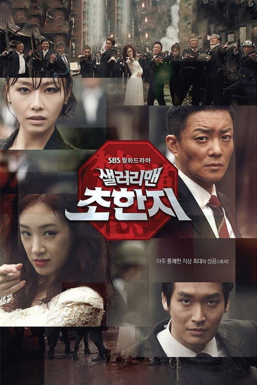 샐러리맨 초한지 afişi